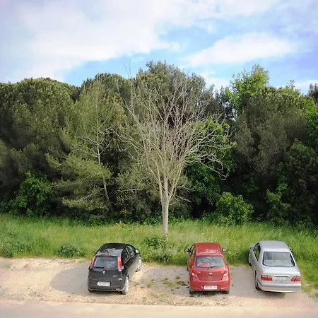 Appartement Venus 13 *