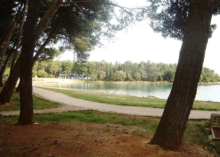 Venus 13 * 로비니