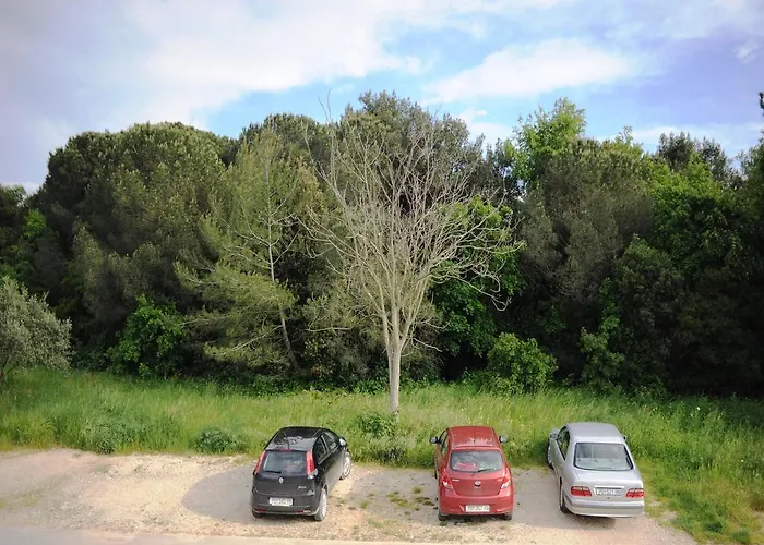 아파트 Venus 13 *